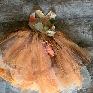 Little girl costume size 3-4 good condition used only once